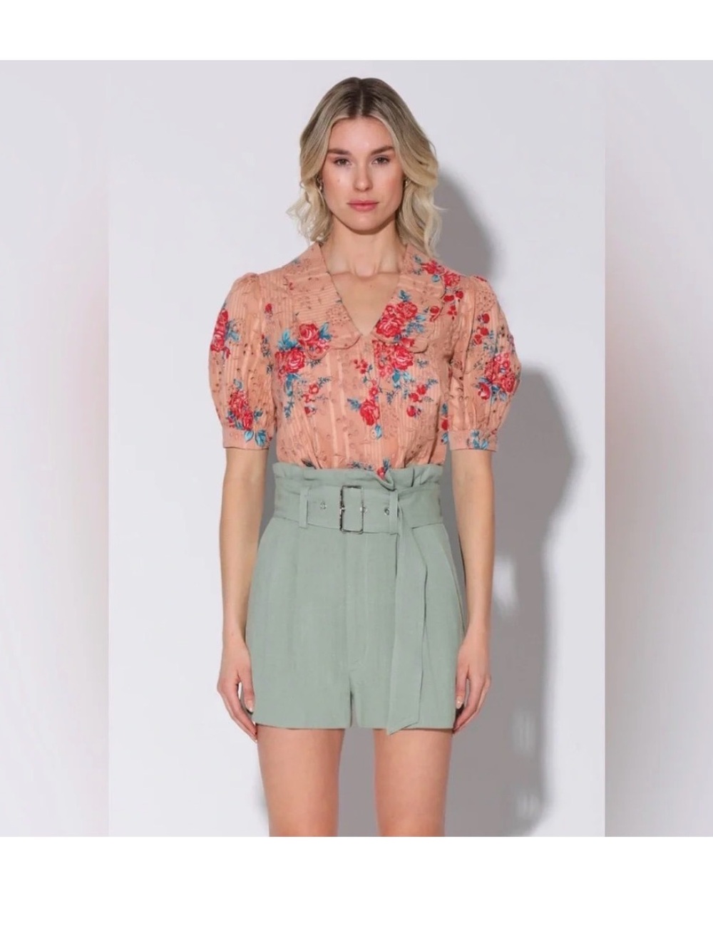 Walter Baker Peach Irma Eyelet Floral V-Neck Puff Sleeve Blouse